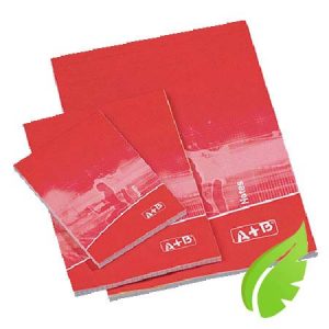 Bloc note 5 x 5 format 21 x 29,7 cm