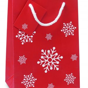 Sac cadeau petit format