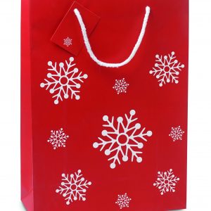 Sac cadeau grand format