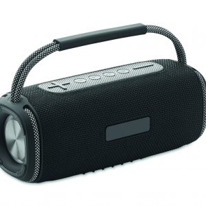 Haut-parleur 2x10 étanche