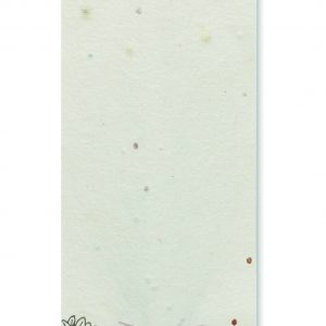 Crayon à papier et graines