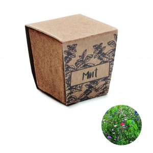 Kit de graines de menthe