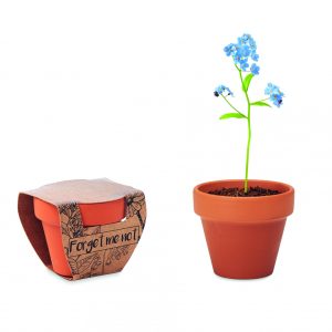 Pot graines de myosotis