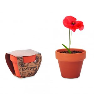 Pot graines de coquelicot