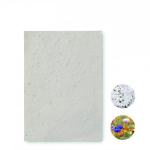 Papier A6 graines de fleurs