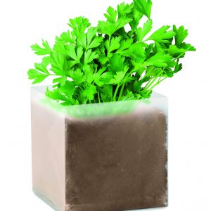 Substrat avec graines Persil