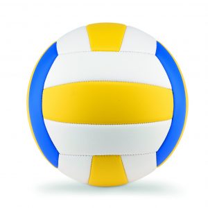 Ballon de volley
